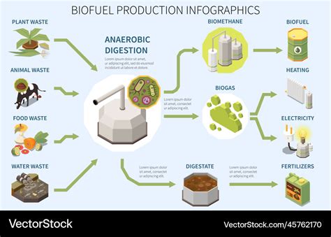 Datura: Un allié surprenant pour l'industrie pharmaceutique et la production de biocarburants ?